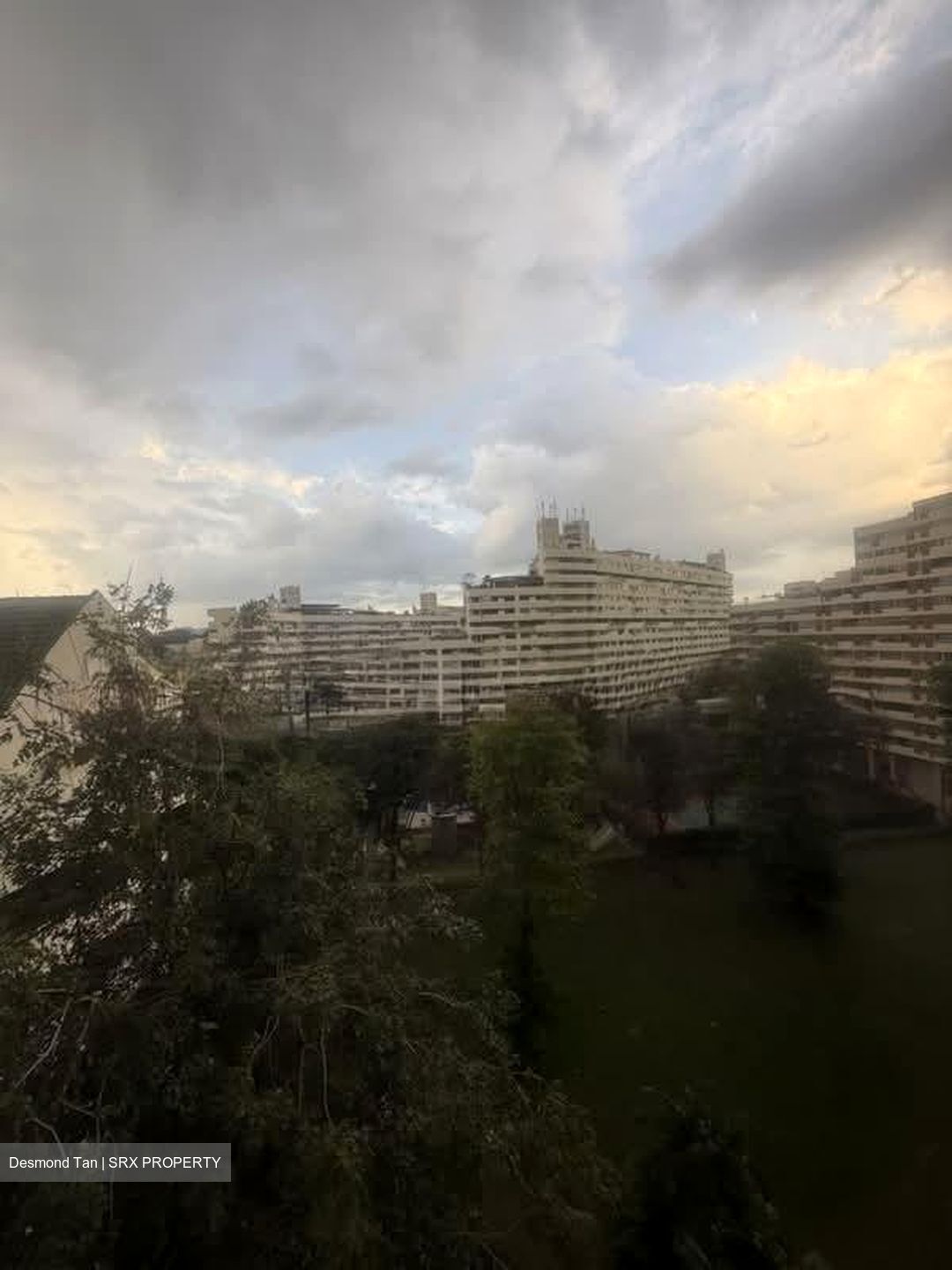 Pandan Valley (D21), Condominium #584481351